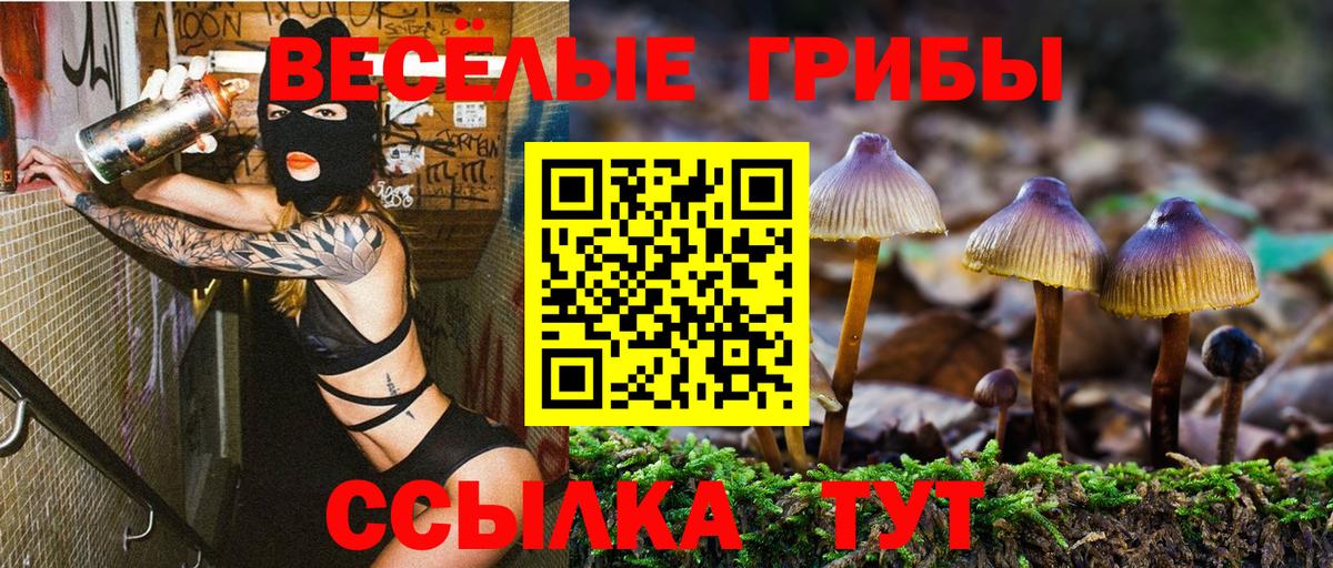 Янаул  Галлюциногенные грибы Psilocybine cubensis  Вход с VPN  Галлюциногенные грибы мицелий 